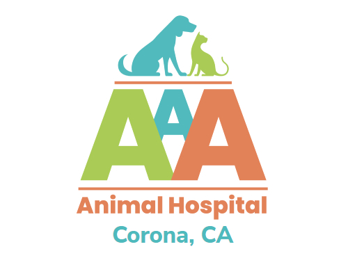 Veterinary Services in Empire, CA