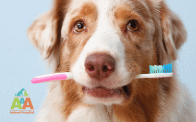 🦷 Keep Your Pet Smiling: The Importance of Dental Health for Dogs & Cats